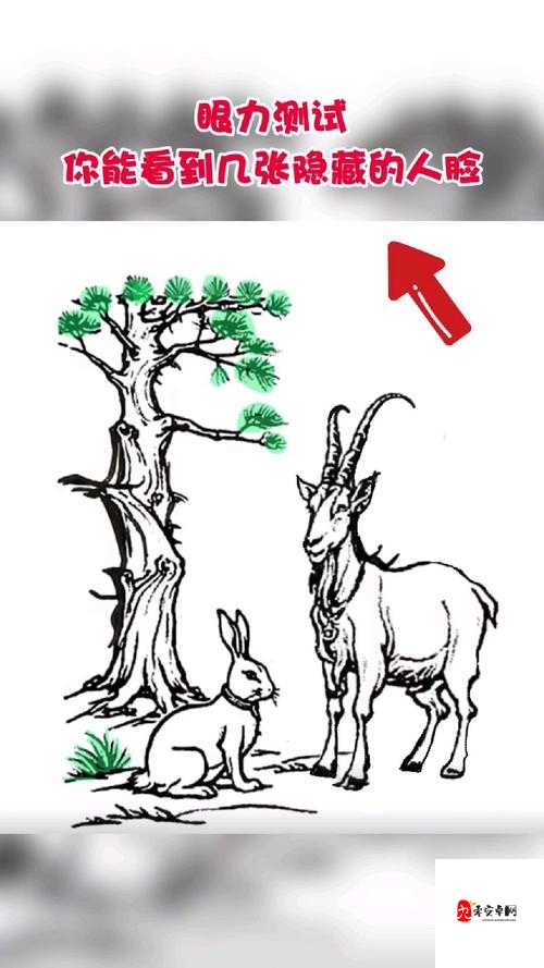 注意看整个过程看到多少张脸,资源管理的新视角