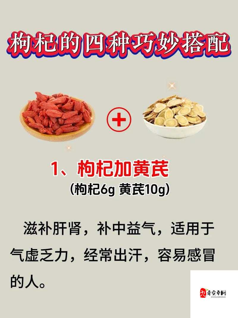 江湖悠悠,枸杞图鉴里的养生秘籍与武侠情缘