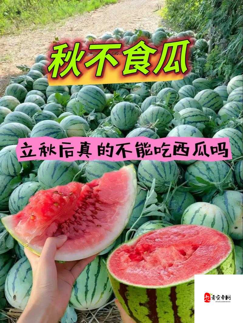 瓜中奥秘大揭秘,冬瓜黄瓜西瓜南瓜都能吃,什么瓜不能吃?猜两字揭晓!
