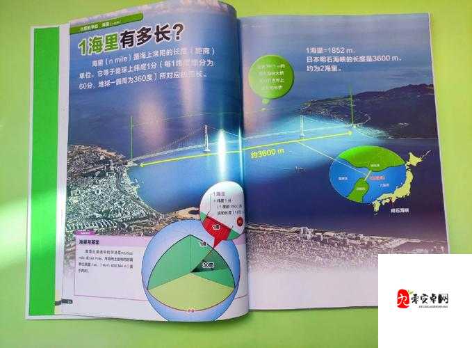 探寻万物之尺,哪一个最矮的秘密