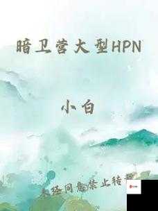 暗卫营大型 HPN 的具体功能是什么:详细解析与探讨