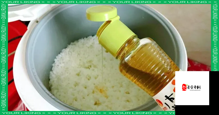 煮米饭要先干什么,资源管理视角下的深度剖析