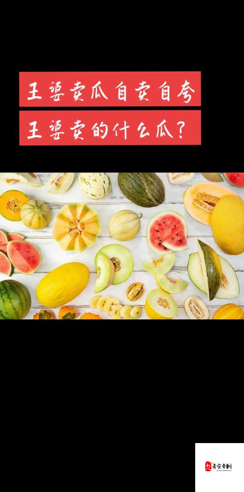 王婆卖瓜自卖自夸中的王婆卖的是什么瓜,资源管理的智慧与策略
