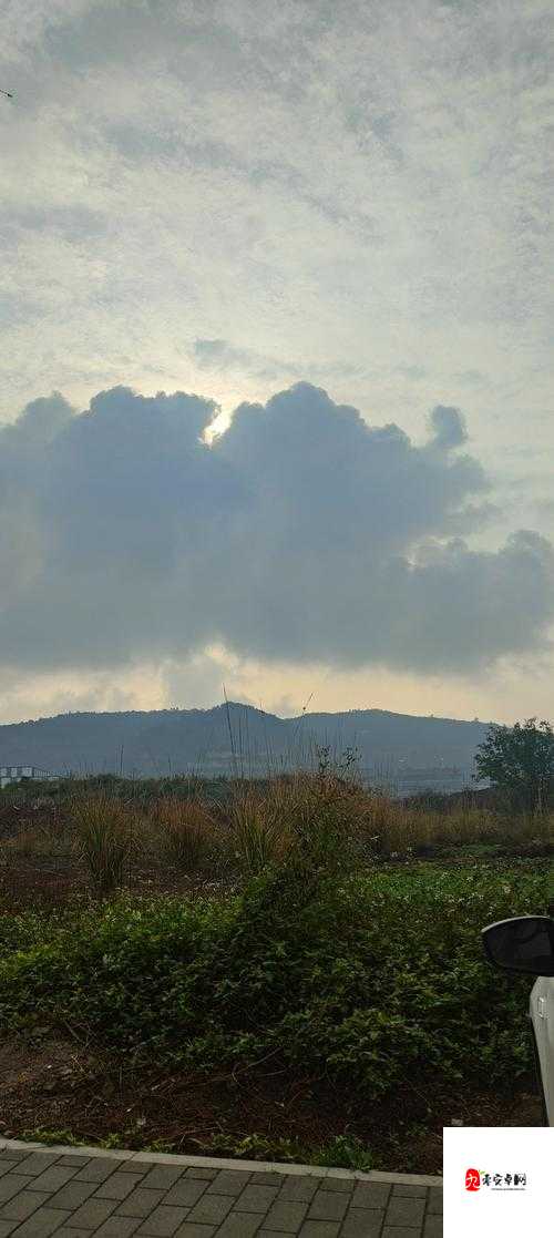 已满十八点此自动转 2024 :开启全新人生旅程的奇妙时刻