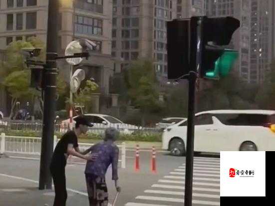 爱心传递,一次帮助老奶奶过马路的温暖邂逅