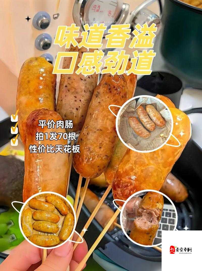 小洞需要大肉肠 2024 :满足味蕾的极致美食追求之旅