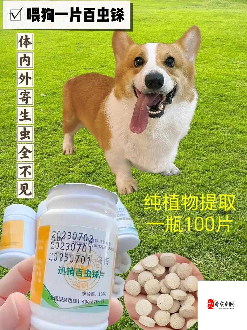 ZOOMSERVO 兽狗产品优势:性能卓越功能多样品质可靠