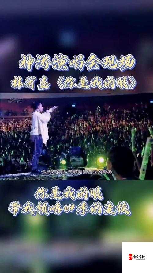 我还没用力你怎么那么痛什么歌:探寻其背后的音乐故事
