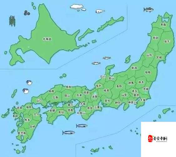 精品日本一线二线三线区别:你了解多少?