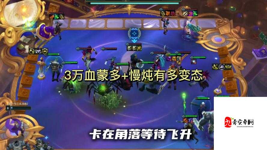 云顶之弈蒙多怎么玩,资源管理、技巧与最大化价值