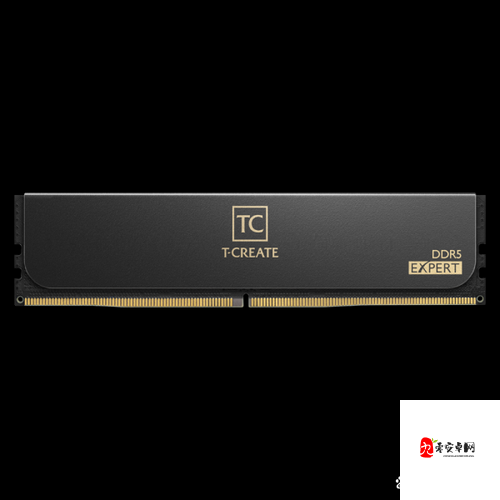 十铨公布全球首款 10GHz 内存这一消息引发行业高度关注