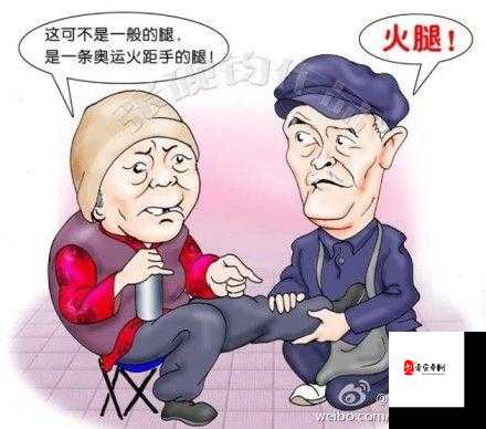 老师你听我解释啊第24关通关秘籍,智慧与幽默的碰撞