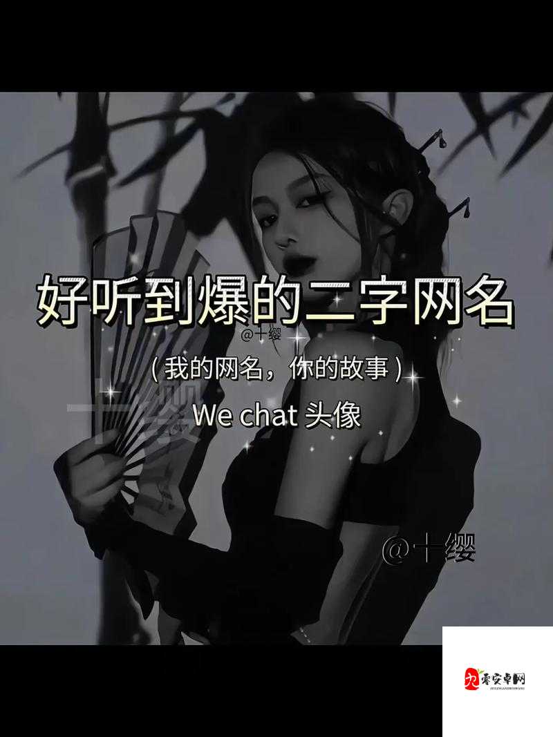 baoyu1119 最新网名背后的故事:揭秘网络世界的神秘人物