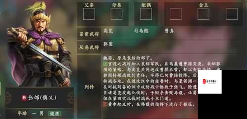 三国终极觉醒张郃怎么样,资源管理艺术与实战技巧