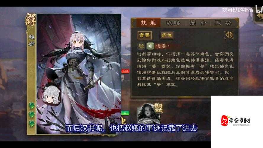 三国终极觉醒赵娥,侠士之魂,战棋之光