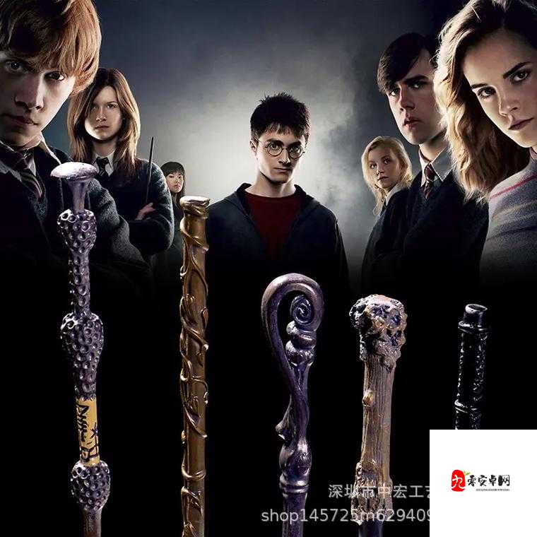 哈利波特魔杖材质探秘,木材与杖芯的奇妙组合