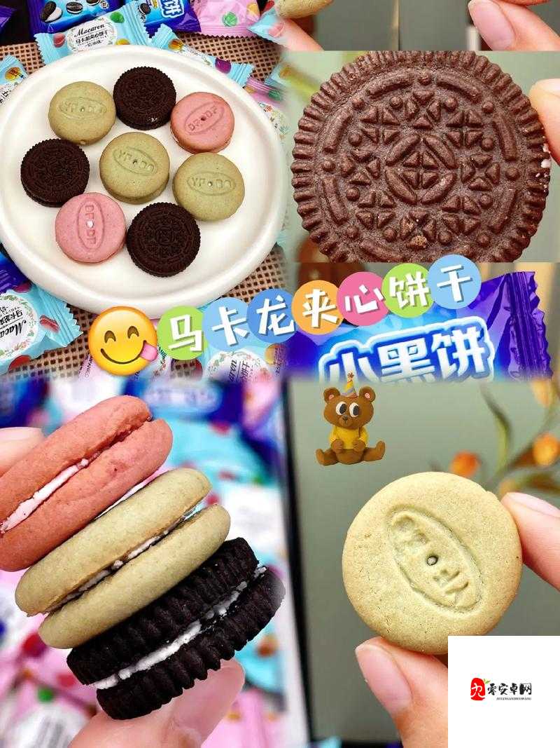 双胞胎一前一后夹心饼干：令人惊艳的独特美味新体验