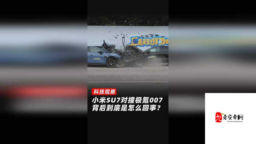 x9x9x9x9 任意槽 2024 免费:带来全新娱乐体验