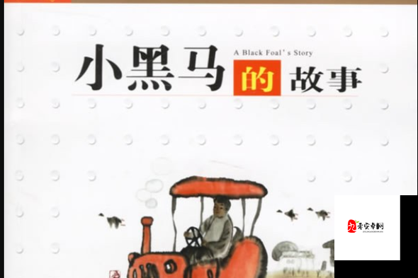 老周张琳公交车分类完善成为一匹黑马:其背后的故事与意义