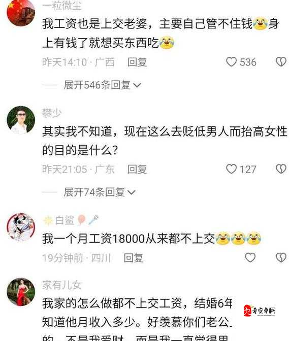 揭秘找到老婆的私房钱3第二十关,智慧与趣味的双重挑战