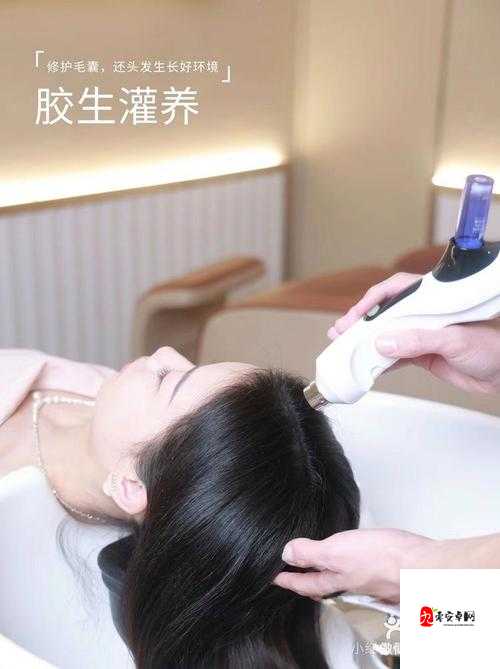 人与狗胶配方的最佳方法:探索其独特制作工艺与要点