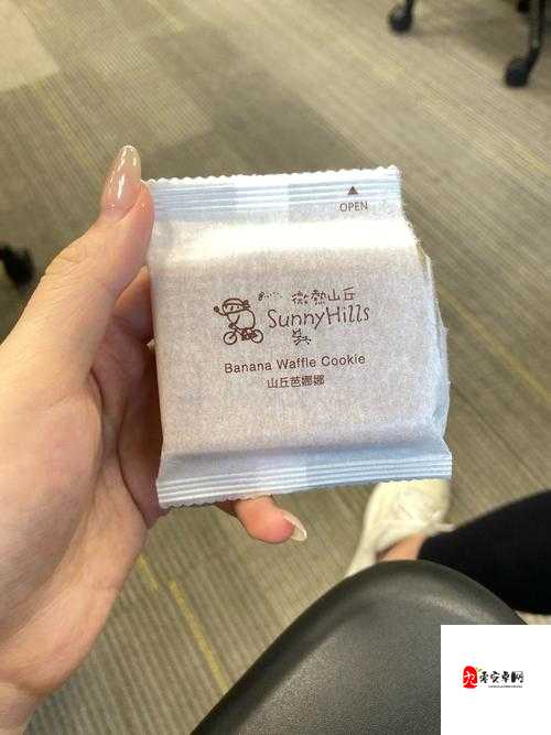 双胞胎一前 一后夹心饼干双子:探索奇妙的相似与不同