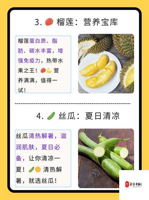 草莓向日葵黄瓜丝瓜汅:这些蔬果都有各自的特点和用途