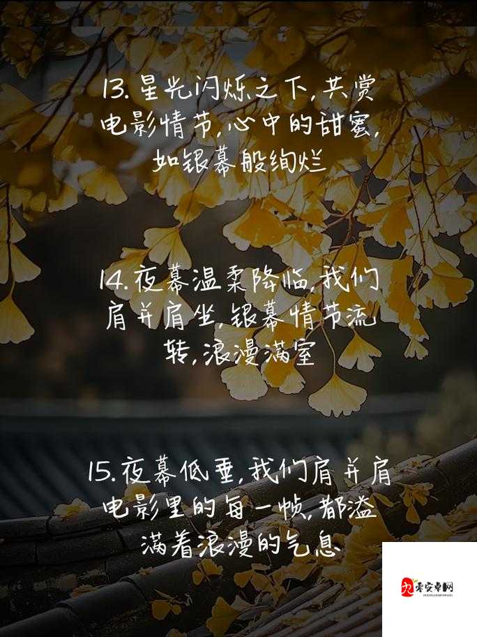 适合夫妻俩晚上看电影:在温馨光影中共度浪漫时光