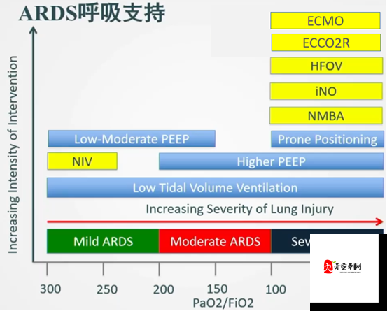 TES-vs-IG 经理笔记:深度剖析两队交锋背后的策略与思考