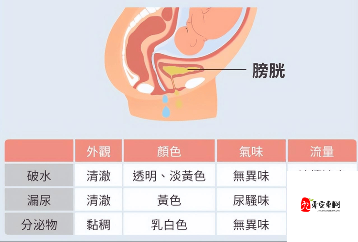 人进入羊水门最怕三种东西:恐惧、未知、危险