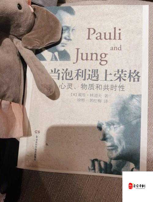老年人性网址相关内容:探索与关注的独特视角