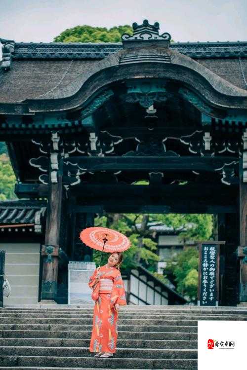 樱花官方网站 IMMONE 用户的精彩之旅:畅享独特体验