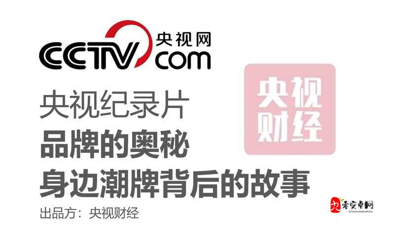站着从后面是否要紧一些之探讨:深入剖析背后的奥秘