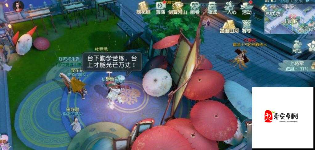 花与剑柳坠儿奇遇,在游戏资源管理中的奥秘与策略