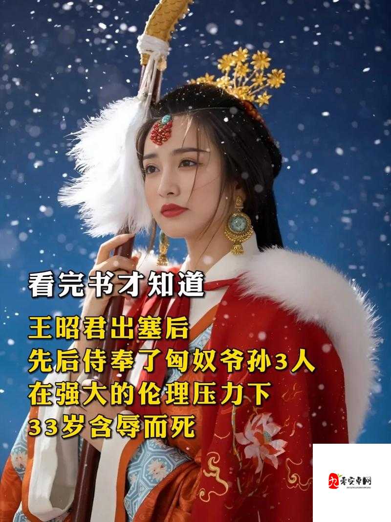 一把抓住王昭君的两只兔子:探秘背后的奇妙故事