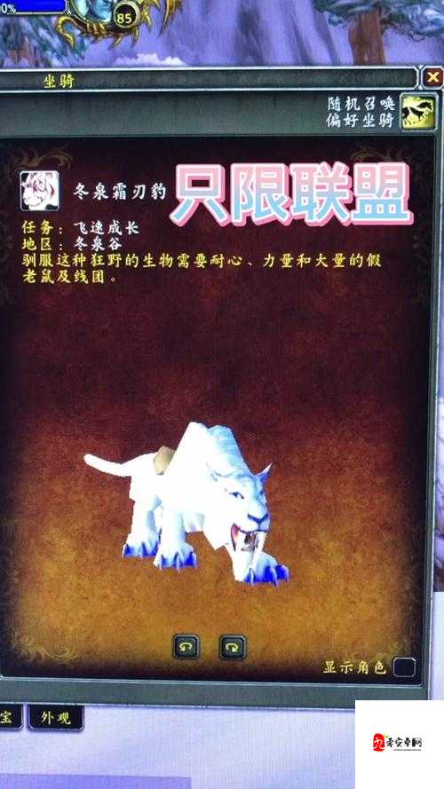 魔兽世界怀旧服霜刃豹坐骑,解锁之旅全揭秘