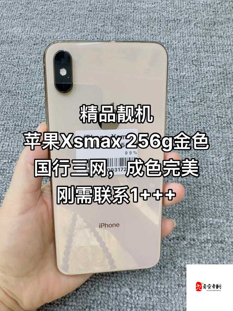 IPHONEXSMAX 欧美高级:时尚潮流与精湛工艺的完美融合