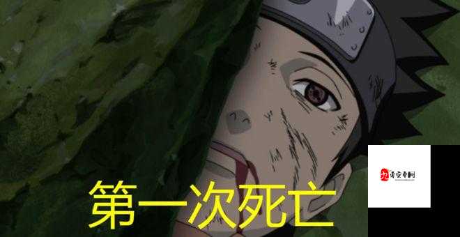 野原琳之死,谁才是背后的推手?