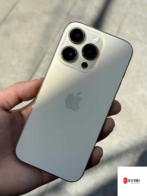 俄罗斯 iPhone-14-Pro:科技与艺术的完美融合