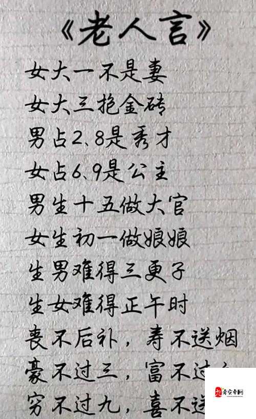 老师你听我解释啊第12关通关秘籍,智慧与幽默的碰撞
