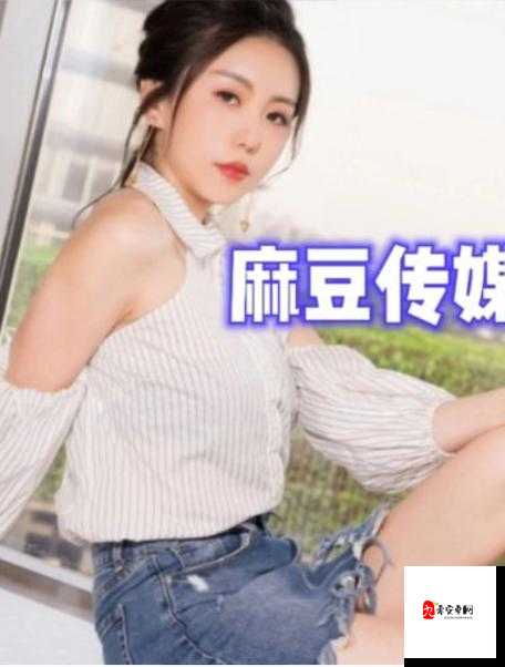 麻花豆传媒 MV 在线观看:精彩不容错过
