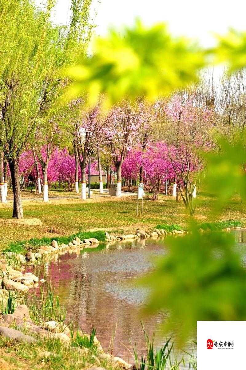 春天里最动人的风景:那些在春光中绽放的美好与希望