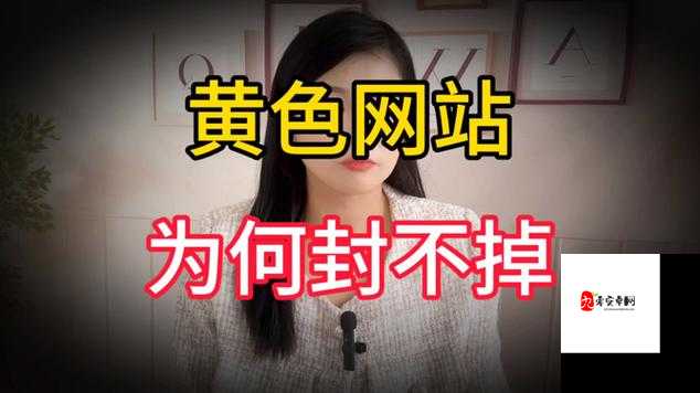 最新黄色无码视频:全程高能,极度刺激