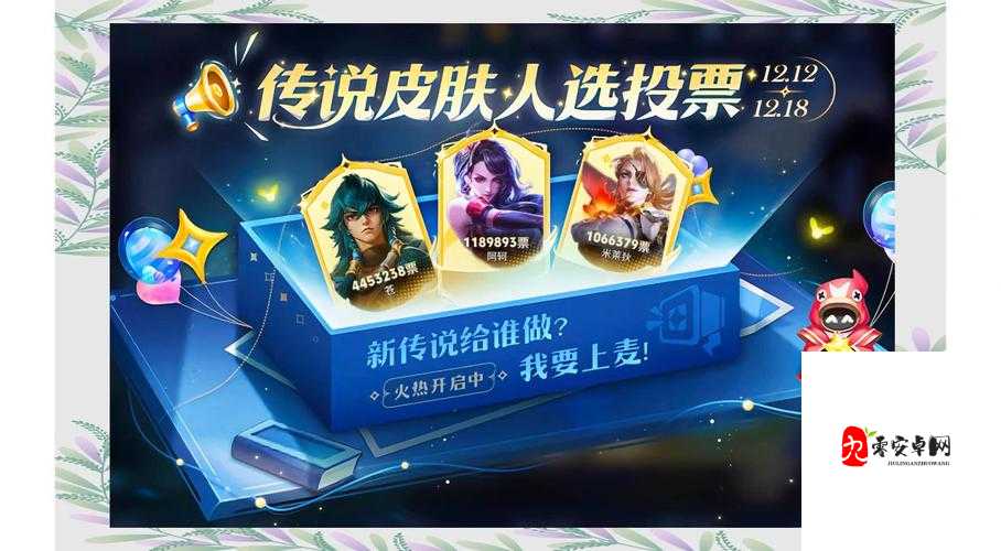 王者荣耀投票在哪,资源管理中的关键角色与高效利用策略