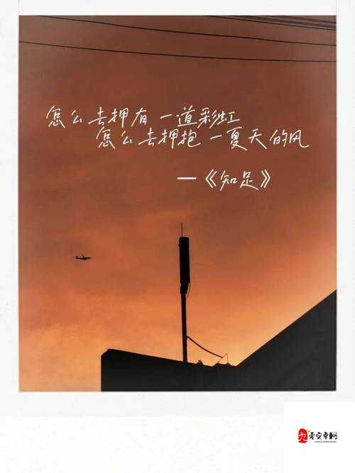 怎么去拥有一道彩虹是什么歌,在资源管理中的隐喻与策略