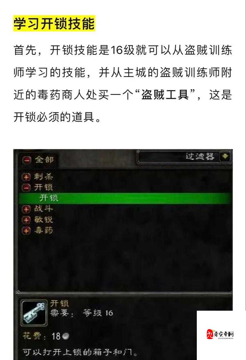怀旧服盗贼,专业选择的艺术与策略