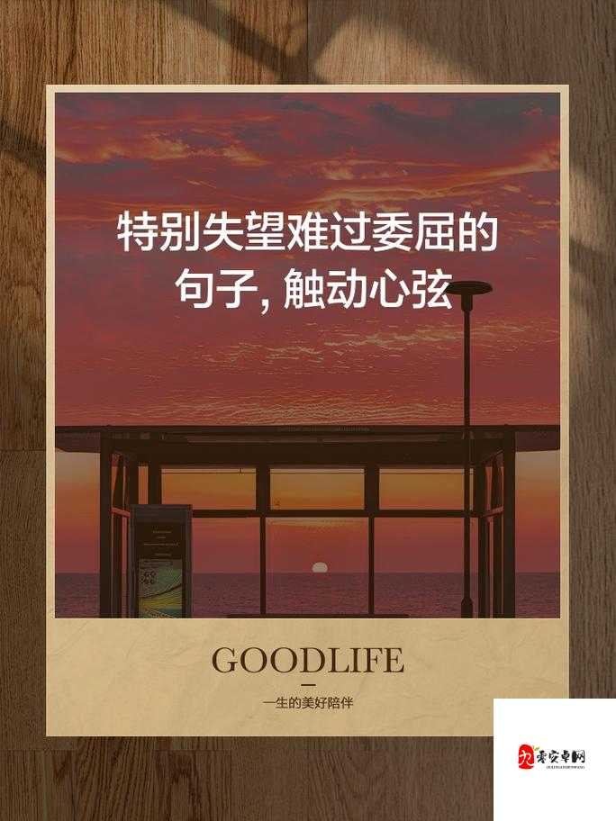 并不是我要刻意的难过,这句歌词触动心弦