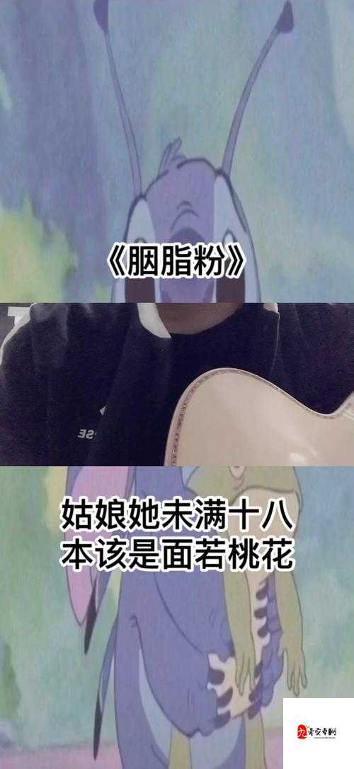 姑娘她未满十八是什么歌,资源管理、高效使用与避免浪费的全面解析