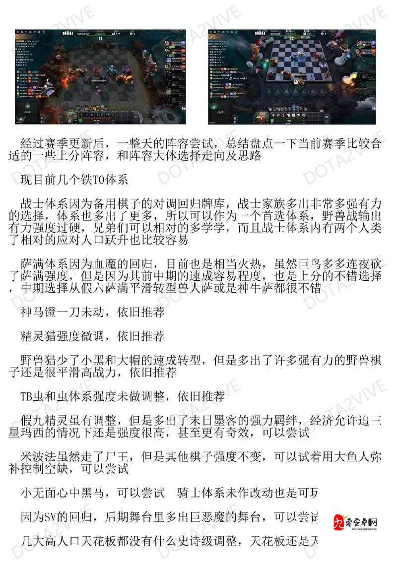 多多自走棋规则,资源管理的艺术