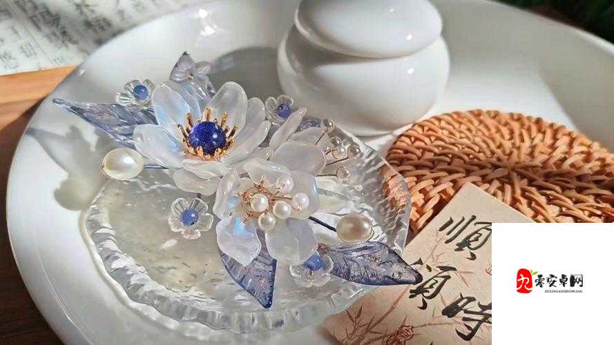 花与剑桃花发簪奇遇,资源管理的艺术